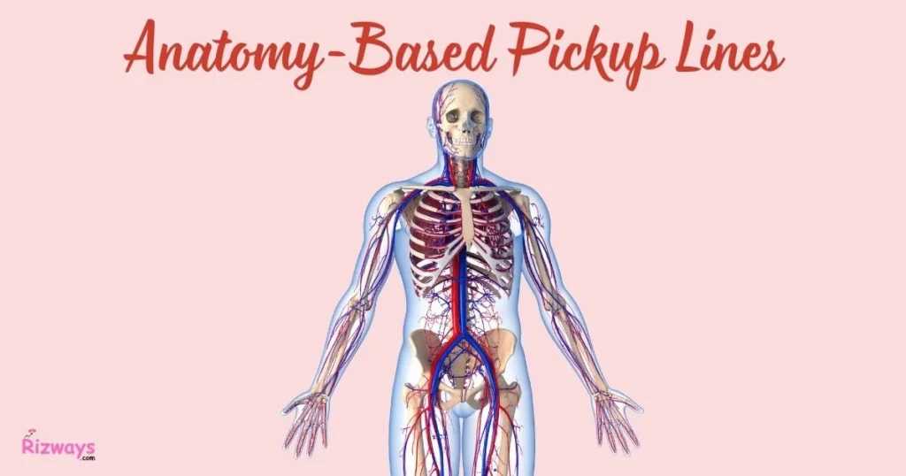 Anatomy Based Pickup Lines