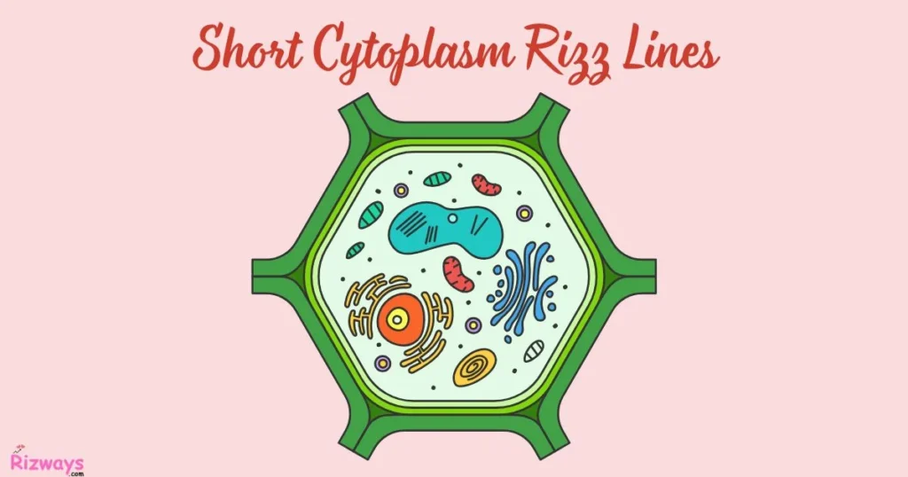 Short Cytoplasm Rizz Lines