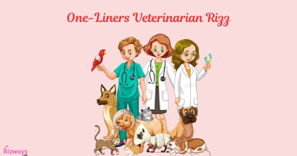 One Liners Veterinarian Rizz