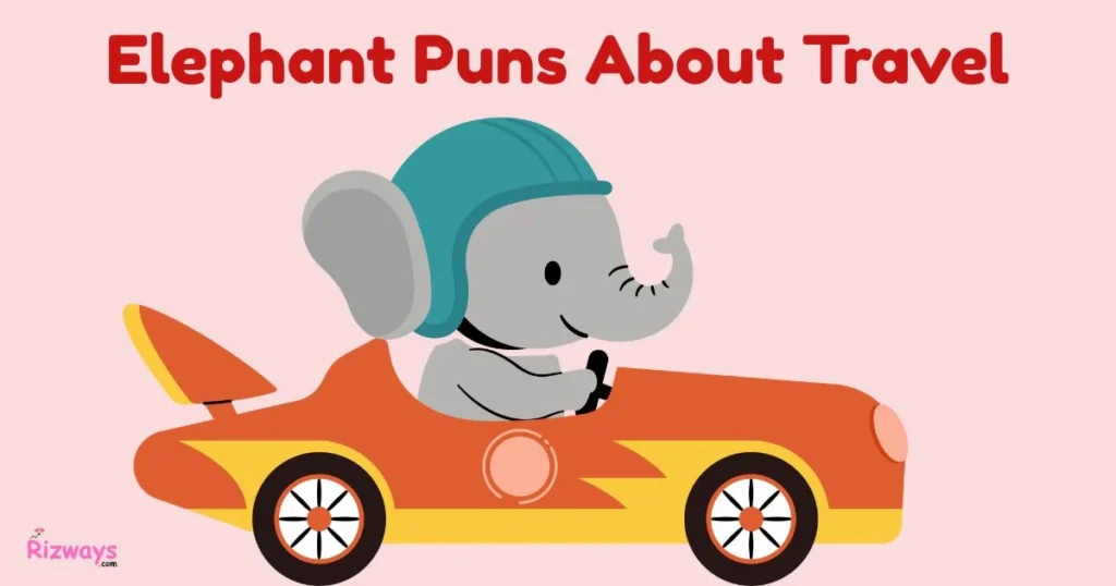 Elephant Puns About Travel