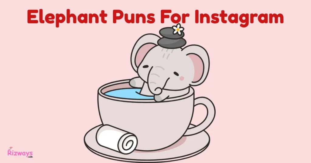 Elephant Puns For Instagram