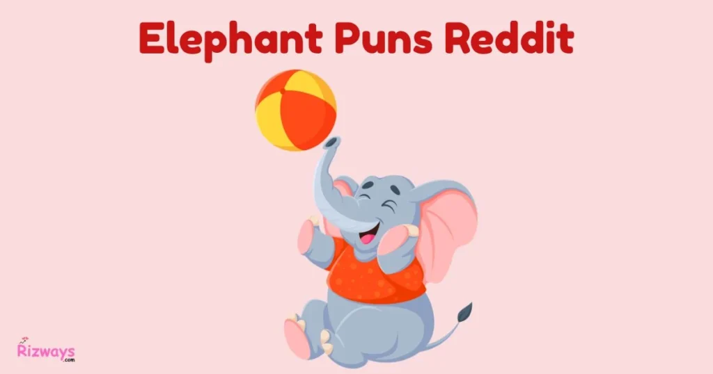 Elephant Puns Reddit