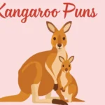 Kangaroo Puns