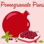 Pomegranate Puns