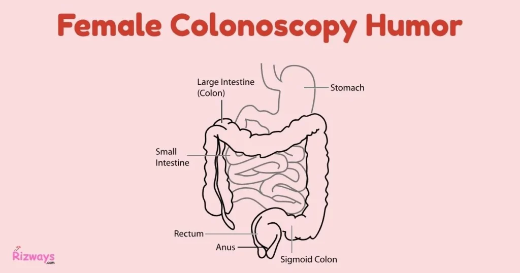 Female Colonoscopy Humor