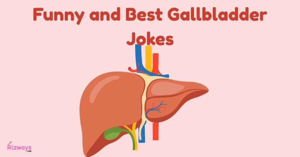 Funny And Best Gallbladder Jokes