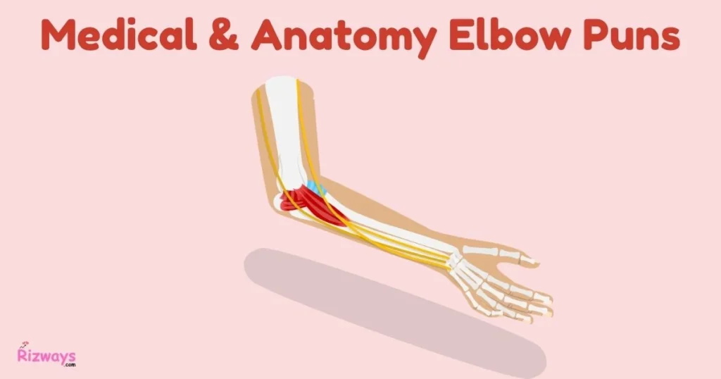 Medical And Anatomy Elbow Puns