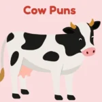 Cow Puns