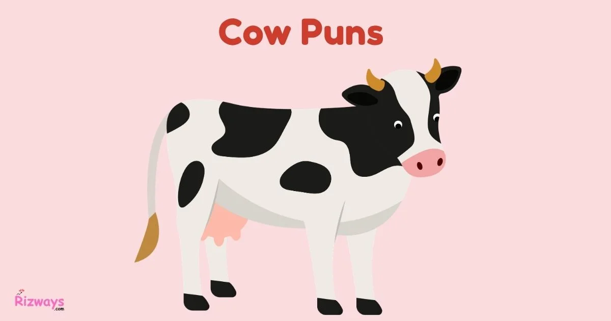 Cow Puns