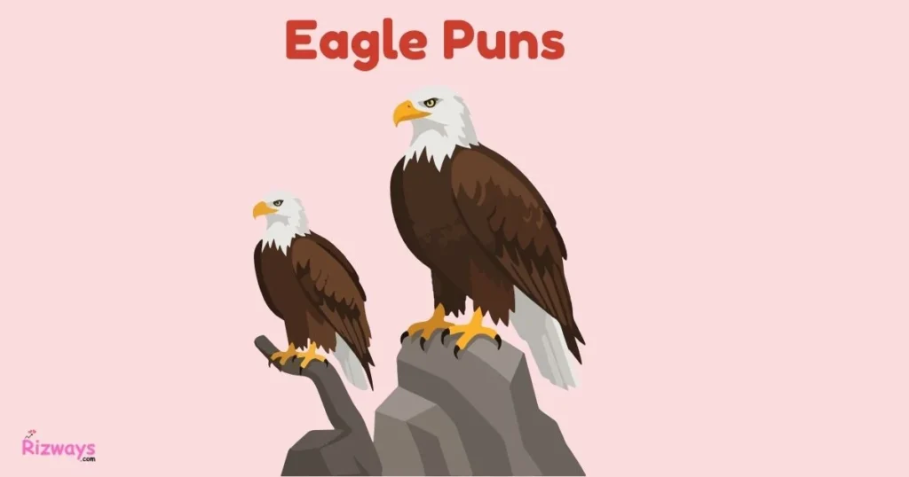 Eagle Puns
