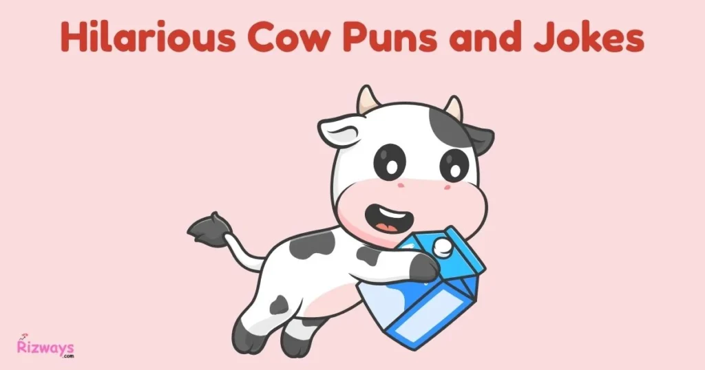 Hilarious Cow Puns And Jokes
