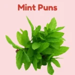 Mint Puns