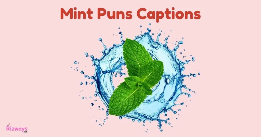 Mint Puns Captions