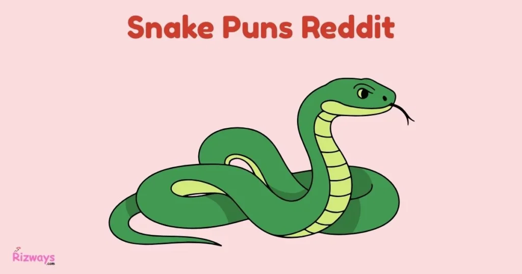Snake Puns Reddit