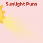 Sunlight Puns