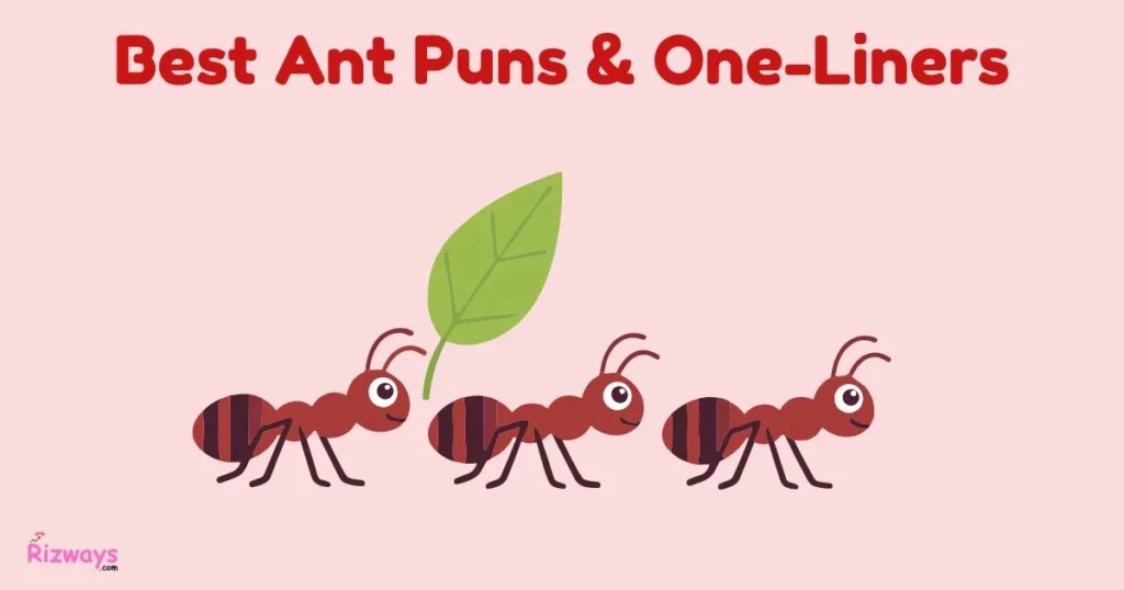 Best Ant Puns And One Liners