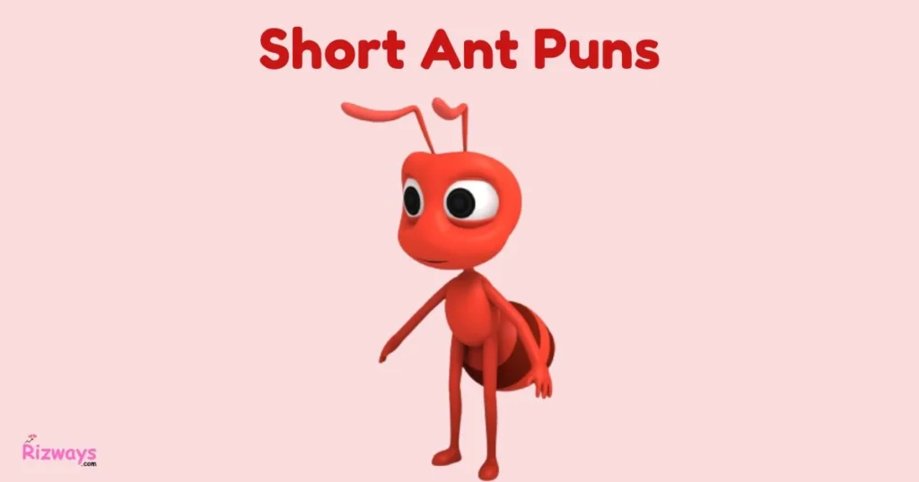 Short Ant Puns
