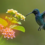 Bird Pick Up Lines