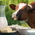 Dairy Pick Up Lines