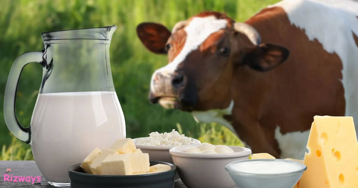 Dairy Pick Up Lines