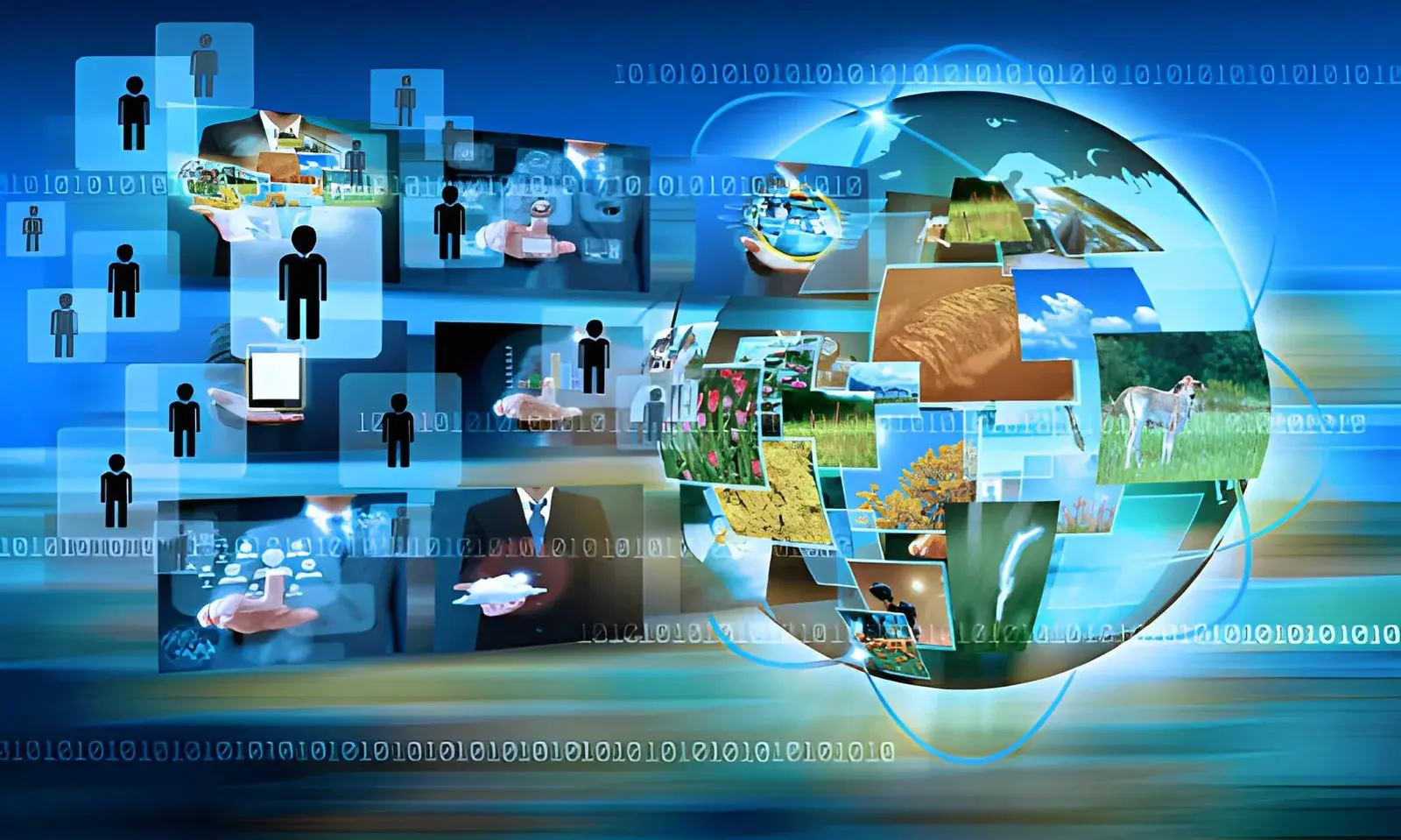 How Moving Images Became A Language Of The Internet