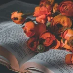 Red Roses Pick Up Lines